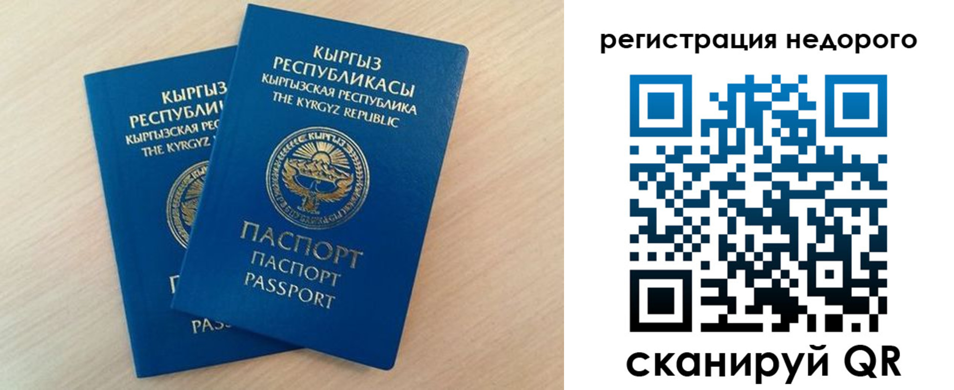 прописка в Мытищах